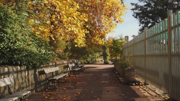 Otoño City Park Soleado Colorido Follaje Otoñal Suave Tirón Hacia — Vídeos de Stock