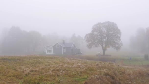 Swedish Cottage Countryside Foggy Day Pan Shot Imagens Alta Qualidade — Vídeo de Stock