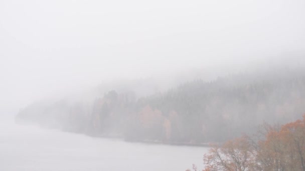 Misty Forest Landscape Seen Other Side Lake Destination Unknown Scene — Stock video
