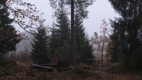 Zone Désignée Pour Feu Camp Misty Jour Humide Sombre Scène — Video
