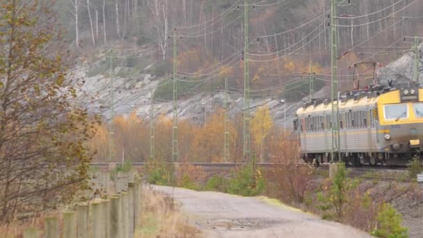 Μικρό Τρένο Μεταφοράς Που Περνά Από Φθινόπωρο Ευρύ Πλάνο Υψηλής — Αρχείο Βίντεο