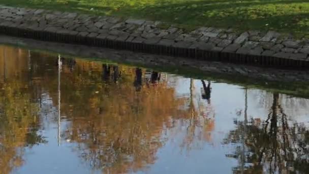 Gothenburg Moat Water Reflection People Walking Fall Season Dalam Bahasa — Stok Video