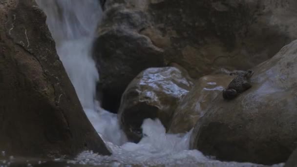 Serene Padda Uppflugen Rock Amiddle Cascading Waterfall Högkvalitativ Film — Stockvideo