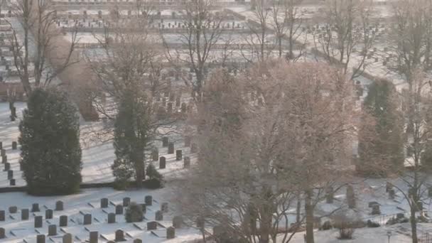 Linhas Sepulturas Árvores Nuas Cemitério Cena Inverno Nevado Ângulo Alto — Vídeo de Stock