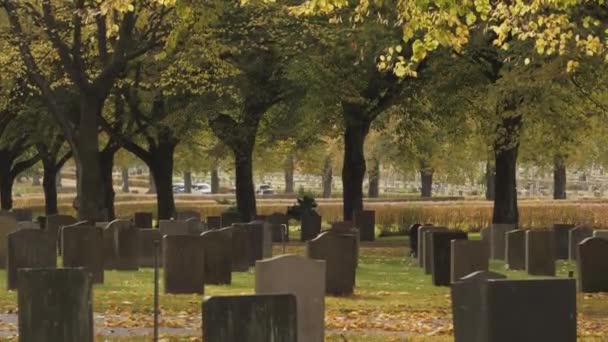 Idylliczny Nordycki Cmentarz Opadającymi Liśćmi Jesienią Jesienna Scena Liści Wysokiej — Wideo stockowe
