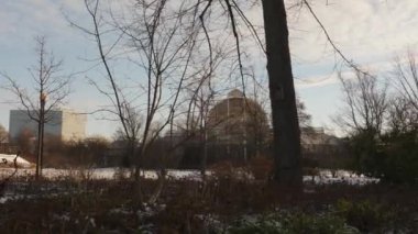 Tradgardforeningen 'deki Palm House, Kış, Göteborg, İzleme Çekimi. Yüksek kalite 4k görüntü