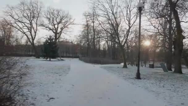 Invierno Pov Gimbal Walk Tradgardsforeningen Garden Society Gothenburg Imágenes Alta — Vídeos de Stock