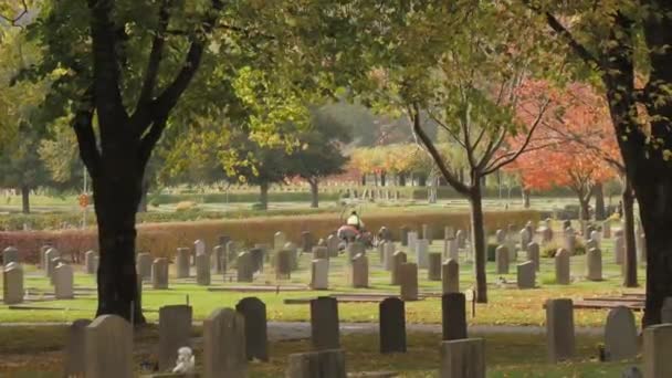 Fall Scene Graveyard Cemetery Caretaker Doing Lawn Mowing Background Wide — Stock Video