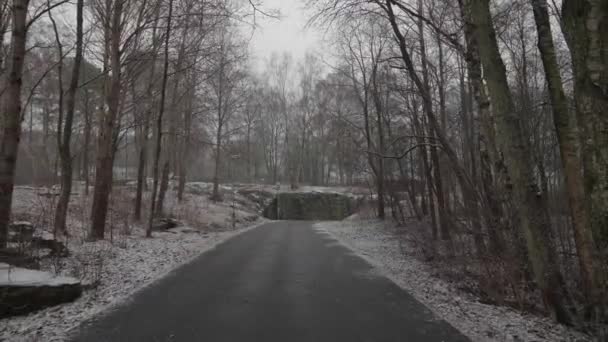 Caminho Bicicleta Vazio Floresta Cena Ciclismo Inverno Dolly Pullback Imagens — Vídeo de Stock