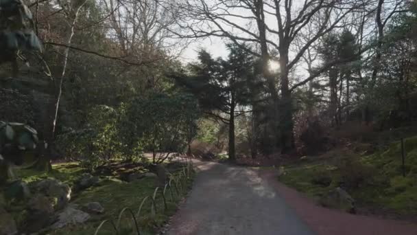 Göteborg Botanik Bahçesinde Yürüyüş Yolu Sveç Gimbal Dolly Yüksek Kalite — Stok video