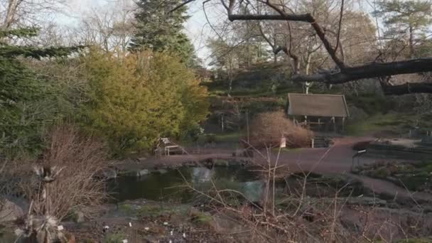 Tranquillo Stagno Rock Garden Giardino Botanico Goteborg Svezia Autunno Dolly — Video Stock