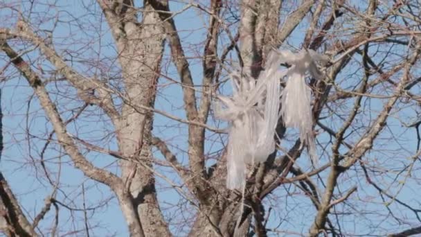Roztrhaný Plast Visí Stromě Bez Listí Modrým Oblohou Pozadí Naklonit — Stock video