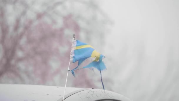 Bandera Pequeña Rota Suecia Clima Tormentoso Democracia Política Conflicto Imágenes — Vídeos de Stock