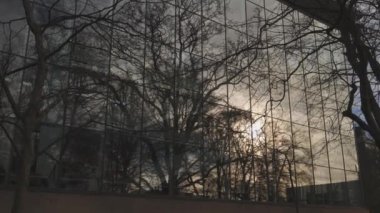 Ağacın yansıması ve bulutlu günbatımı modern cam bina, Dark Moody, Tilt Shot. Yüksek kalite 4k görüntü