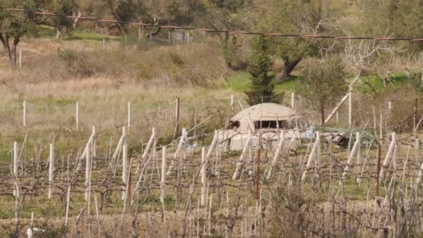 Bunker Vineyard Farm Dry Landscape Establishing Shot Imágenes Alta Calidad — Vídeos de Stock