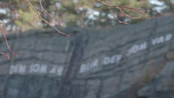Göteborg Sveç Nisan 2023 Kaya Duvarı Oyulmuş Şiir Rack Focus — Stok video