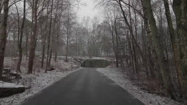 Κενό Ποδηλατικό Μονοπάτι Στο Δάσος Χειμερινή Ποδηλατική Σκηνή Dolly Pullback — Αρχείο Βίντεο