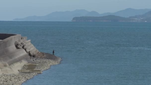 Ensam Fiskare Vid Izumikusten Östra Kina Japan Högkvalitativ Film — Stockvideo