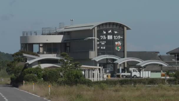 Японці Верхнього Крану Зимують Полігоні Ідзумі Центр Спостереження Краном Створюючи — стокове відео