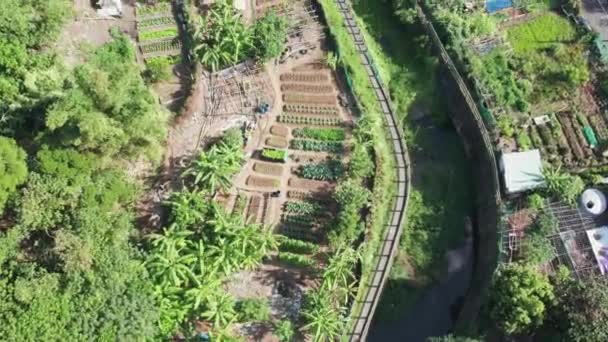 Irrigatie Kanaal Landbouwgrond Het Platteland Taipei Taiwan Luchtfoto Naar Beneden — Stockvideo