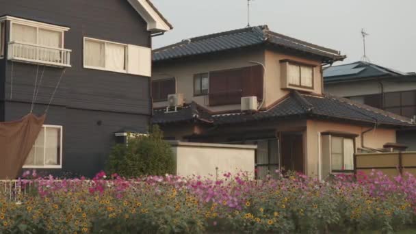 Traditionellt Japanskt Hem Med Blomsterträdgård Mysigt Förorts Hus Japan Högkvalitativ — Stockvideo