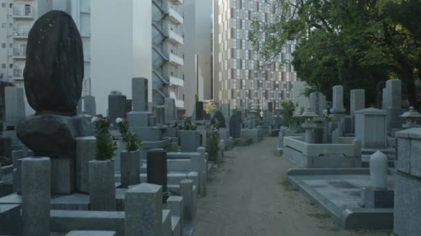 Городское Кладбище Фукуоке Япония Dolly Gimbal Walk Высококачественные Кадры — стоковое видео