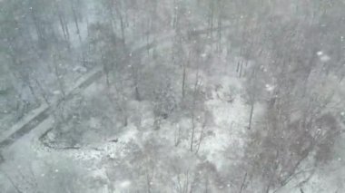 Bisiklet Yolu, Kış Sezonu, Hava Yörüngesi ile Orman Bölgesi 'ne Yoğun Kar yağışı. Yüksek kalite 4k görüntü