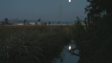 Japon kırsalında dolunay yansıması olan sulama hendeği, Tilt Shot. Yüksek kalite 4k görüntü