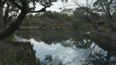 Japon Bahçesi 'nden geçen Bulutların Su Yansıması adlı nehir. Geniş açılı. Yüksek kalite 4k görüntü