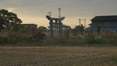 Tori Gate, Yellow Rice Fied ve Kyushu, Japonya 'daki kırsal bölge. Yüksek kalite 4k görüntü