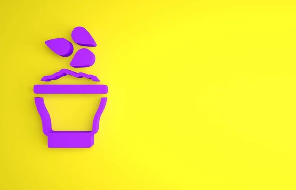 Purple Seeds Bowl Icoon Geïsoleerd Gele Achtergrond Minimalisme Concept Weergave — Stockfoto