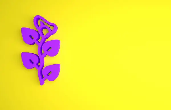 紫色常春藤枝条图标孤立在黄色背景上 有叶子的树枝最低纲领的概念 3D渲染说明 — 图库照片