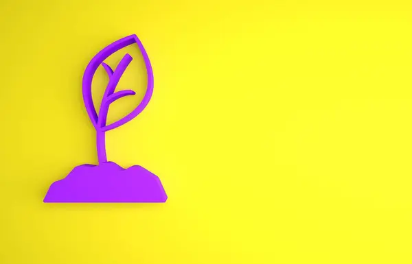 Фіолетовий Проросток Ізольовано Жовтому Тлі Насіння Розсада Знак Листя Природа — стокове фото