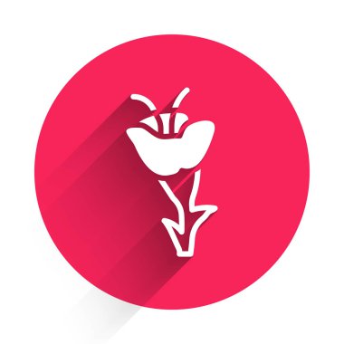 Beyaz Çiçek simgesi uzun gölgeli. Kırmızı daire düğmesi. Vektör.