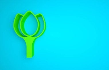Green Flower tulip icon isolated on blue background. Minimalism concept. 3D render illustration .