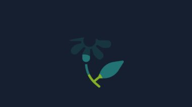 Yellow Flower icon isolated on blue background. Sweet natural food. 4K Video motion graphic animation.