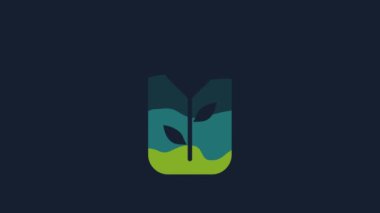 Yellow Flower rose icon isolated on blue background. 4K Video motion graphic animation.