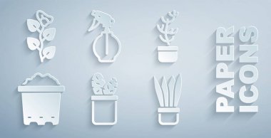 Set Cactus peyote in pot, Exotic tropical plant, Pot with soil, Plant, Water spray bottle and Ivy branch icon. Vector