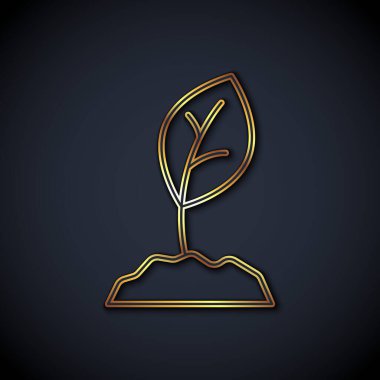 Altın çizgili Sprout simgesi siyah arkaplanda izole edilmiş. Tohum ve tohum. İşaret bırakıyor. Yaprak doğası. Vektör