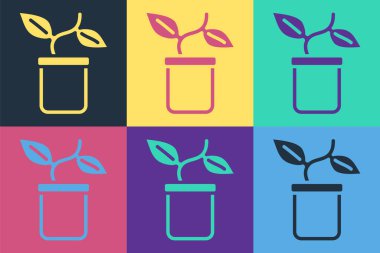 Esrar ikonundaki Pop Art Plant renkli arka planda izole edildi. Tencerede yetişen bir bitki. Saksı bitkisi işareti. Vektör.