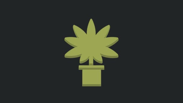 Grön Medicinsk Marijuana Eller Cannabis Växt Potten Ikon Isolerad Svart — Stockvideo