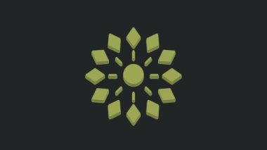 Yeşil Havai fişek simgesi siyah arkaplanda izole edildi. Eğlence partisi anlayışı. Patlayıcı havai fişek sembolü. 4K Video hareketli grafik canlandırması.