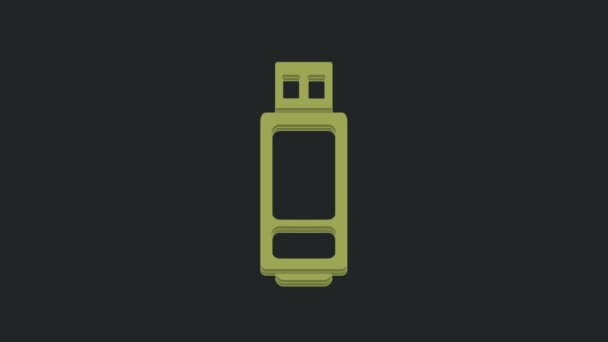 Green Usb Flash Drive Icon Isolated Black Background Video Motion — Stock Video