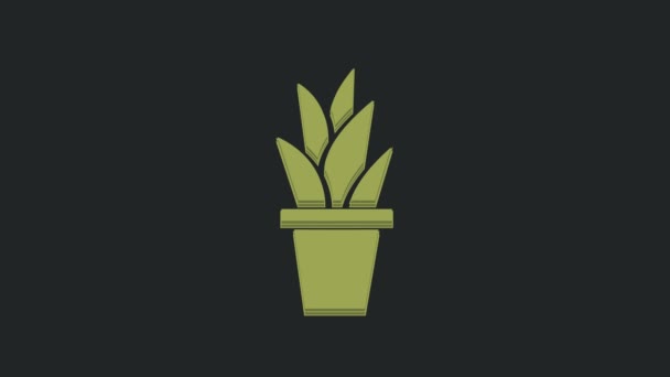 Green Plant Topf Symbol Isoliert Auf Schwarzem Hintergrund Pflanze Die — Stockvideo