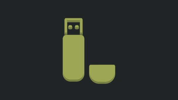 黒の背景に隔離された緑のUsbフラッシュドライブアイコン 4Kビデオモーショングラフィックアニメーション — ストック動画