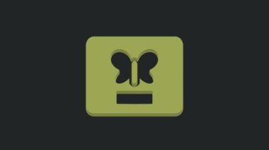 Siyah arkaplanda izole edilmiş bir çerçeve simgesinde Yeşil Kelebek. Herbaryum. 4K Video hareketli grafik canlandırması.