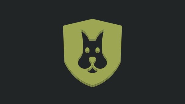 绿色动物健康保险图标孤立在黑色背景 宠物保护的概念 狗爪或猫爪印 4K视频运动图形动画 — 图库视频影像