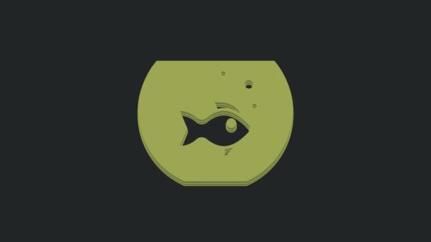 Green Aquarium Fish Icon Isolated Black Background Glass Aquarium Aquarium — Stock Video