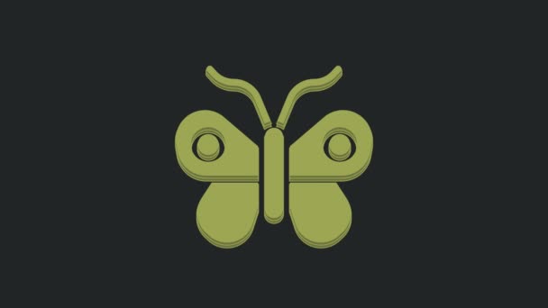 Icono Mariposa Verde Aislado Sobre Fondo Negro Animación Gráfica Vídeo — Vídeo de stock