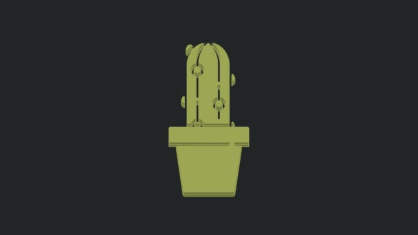 Grön Kaktus Peyote Potten Ikon Isolerad Svart Bakgrund Växt Som — Stockvideo